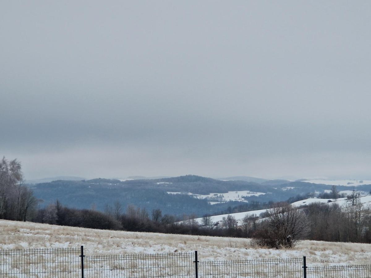 Domki Pod Gora Szybowcowa Jezow Sudecki Buitenkant foto